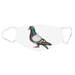 product_image_promotion