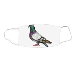 product_image_promotion