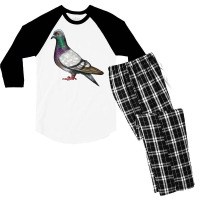 Pigeon Men's 3/4 Sleeve Pajama Set | Artistshot