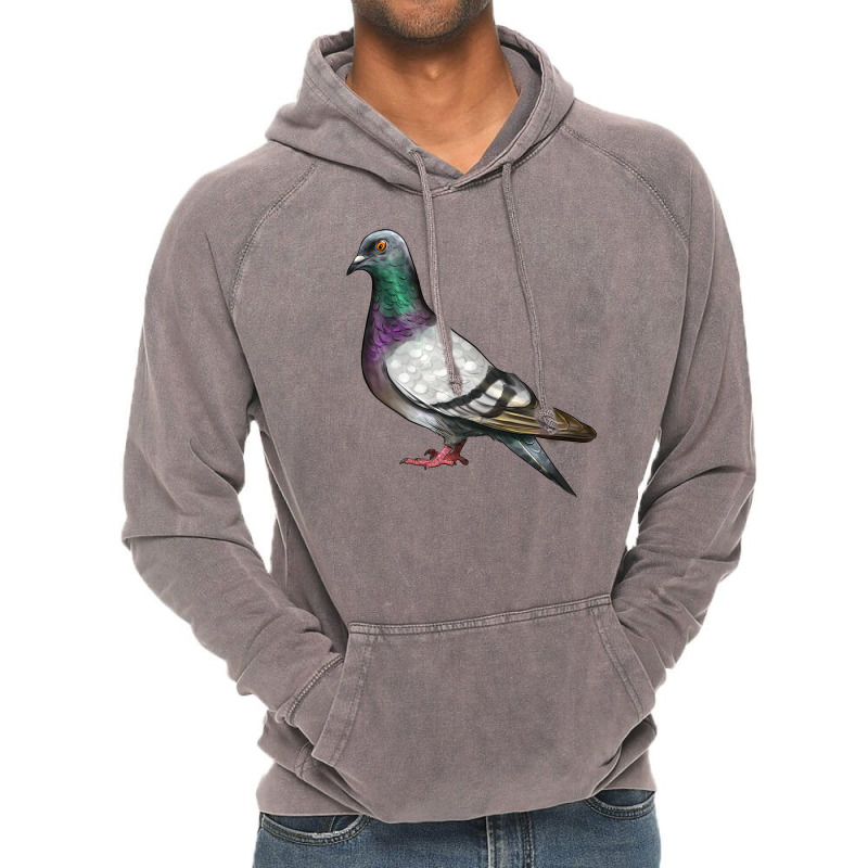 Pigeon Vintage Hoodie | Artistshot