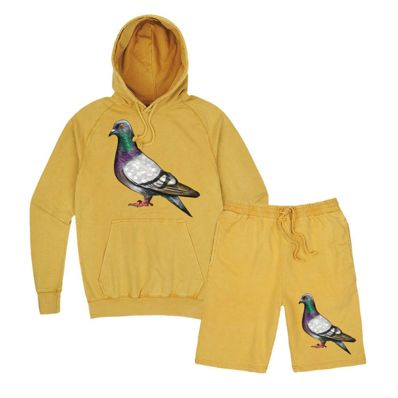Pigeon Vintage Hoodie And Short Set | Artistshot