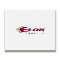 Elon Phoenix Metal Print Horizontal | Artistshot