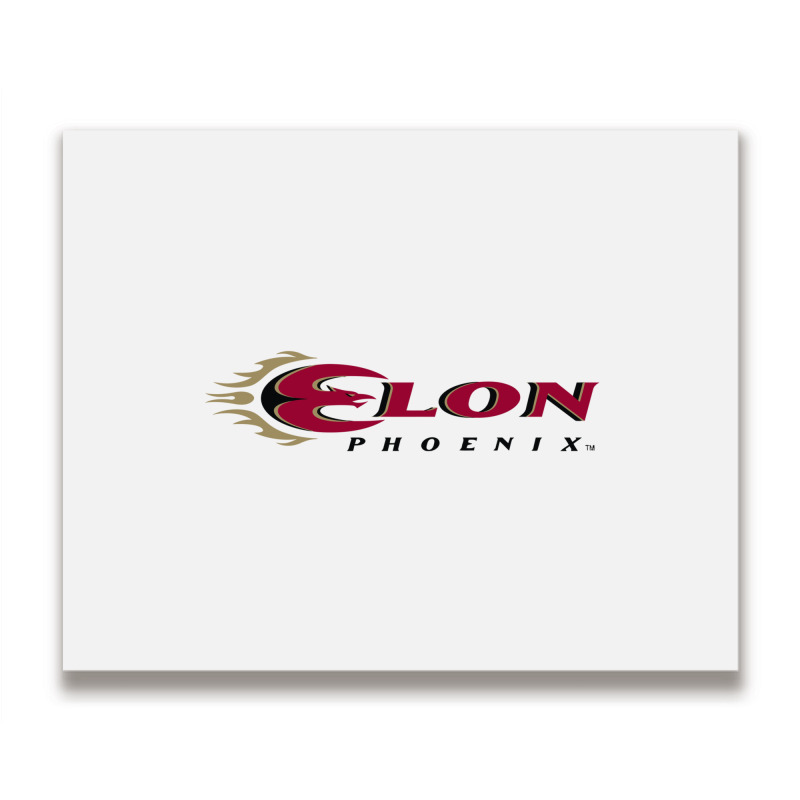 Elon Phoenix Metal Print Horizontal | Artistshot