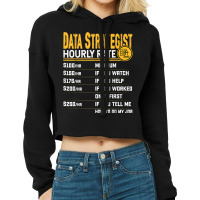 Data Strategist Hourly Rate   Funny Data Analytic Expert Cropped Hoodie | Artistshot