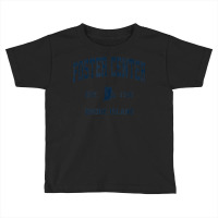 Foster Center Rhode Island Ri Vintage Athletic Navy Sports D Toddler T-shirt | Artistshot