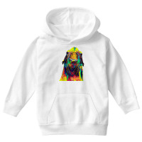 Cute Sea Lion Colorful Art T  Shirt Youth Hoodie | Artistshot