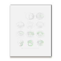 Crustacea Fossil Larval Shirt Metal Print Vertical | Artistshot