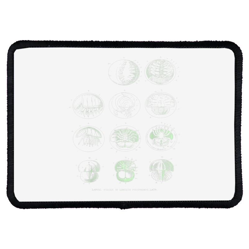 Crustacea Fossil Larval Shirt Rectangle Patch | Artistshot