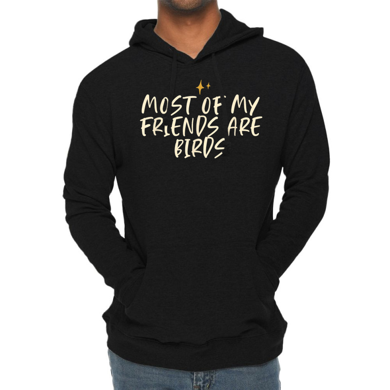 Stars Funny Cool Saying Most Of My Cools Are Birds Lightweight Hoodie by Complete | Artistshot