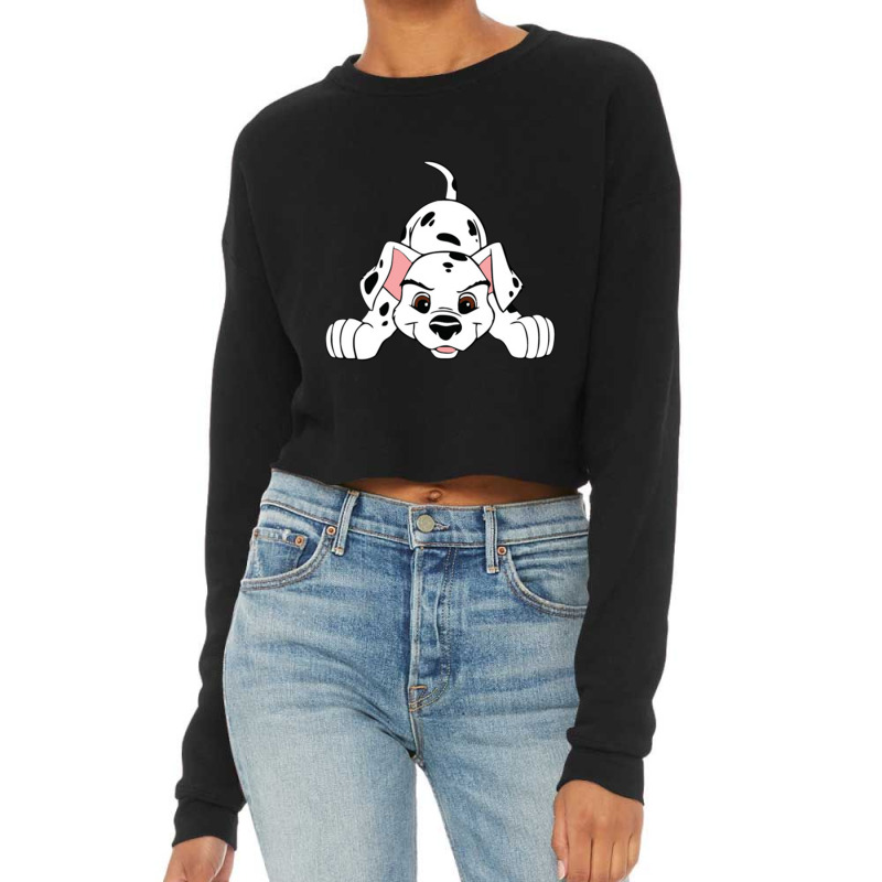 Dalmatian Cropped Sweater by brodesin | Artistshot