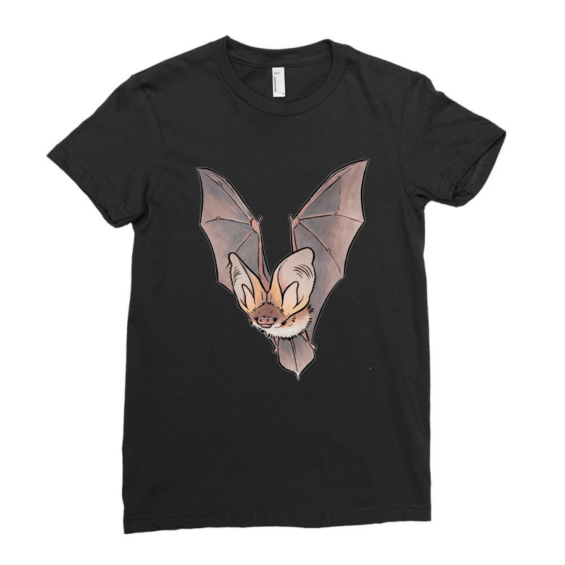 Grey-long-eared-bat- Ladies Fitted T-Shirt by RobinIntorcia | Artistshot