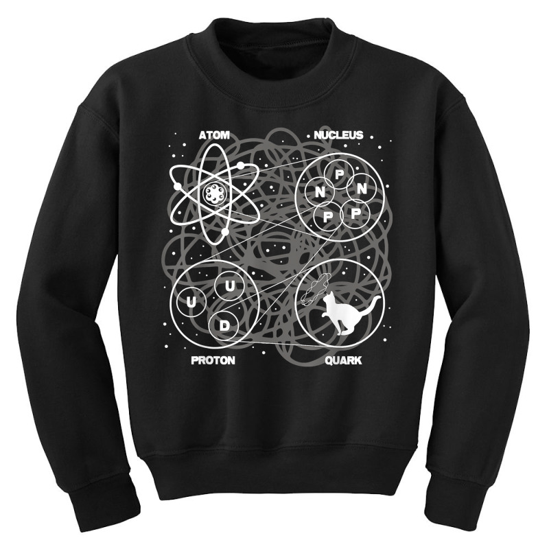 Quantum Mechanics String Theory   Physicist Science Lover T Shirt Youth Sweatshirt by cm-arts | Artistshot