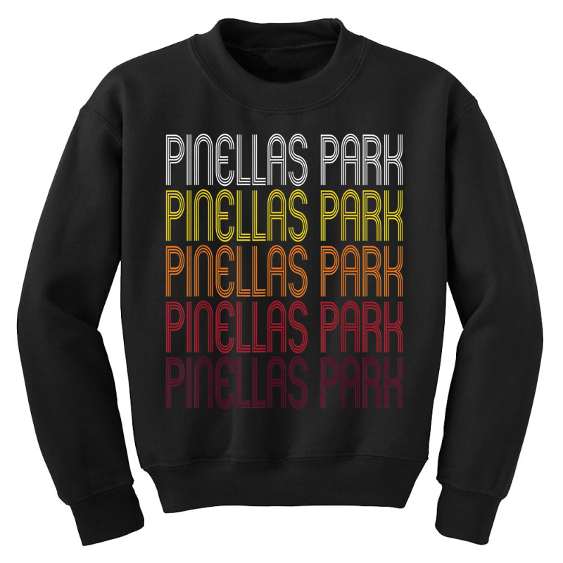 Pinellas Park, Fl  Vintage Style Florida T Shirt Youth Sweatshirt | Artistshot