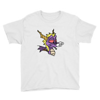 Spyro The Blazing Dragon  Spyro Youth Tee | Artistshot