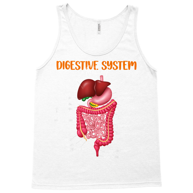 Funny Digestive System Anatomy Anatomical Biology Teacher T Shirt Tank Top by povyvexumi3 | Artistshot