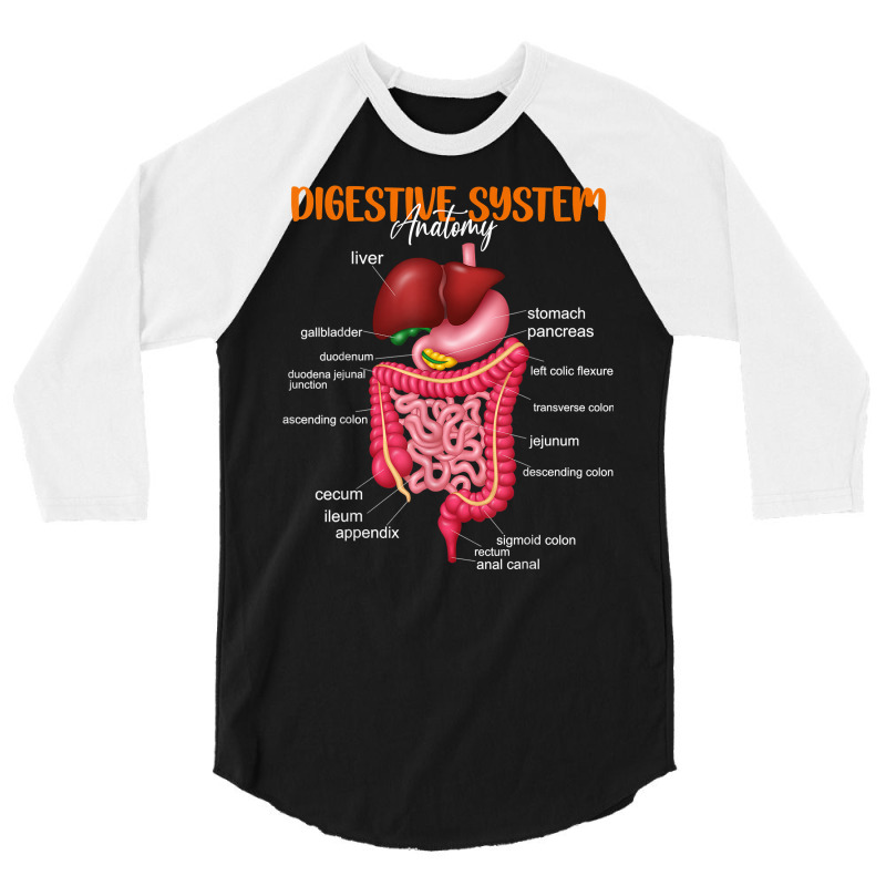 Funny Digestive System Anatomy Anatomical Biology Teacher T Shirt 3/4 Sleeve Shirt by povyvexumi3 | Artistshot