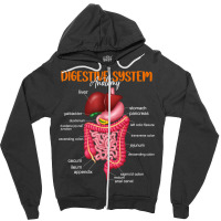 Funny Digestive System Anatomy Anatomical Biology Teacher T Shirt Zipper Hoodie | Artistshot