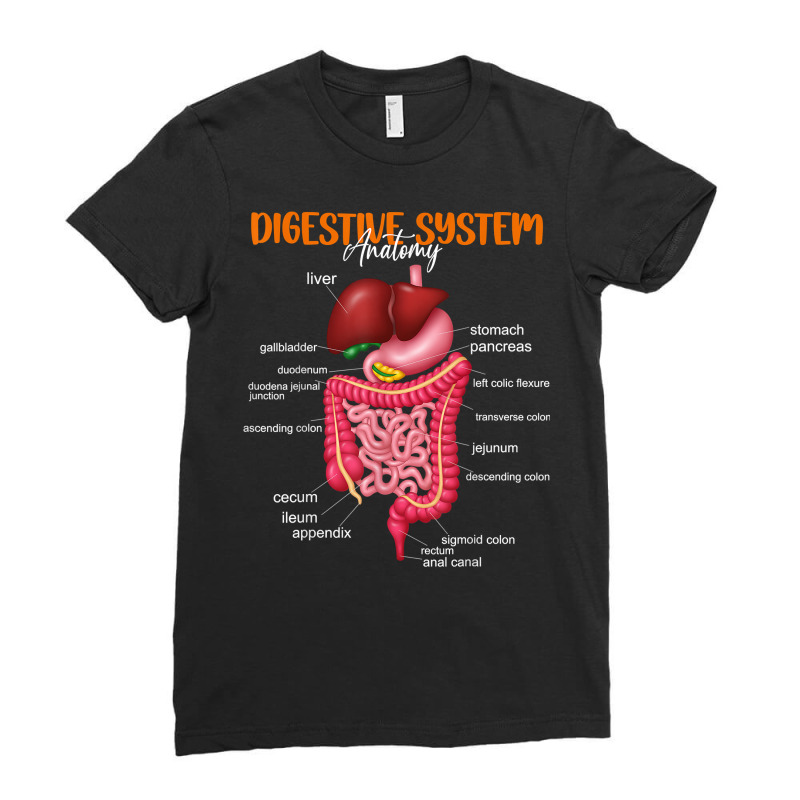 Funny Digestive System Anatomy Anatomical Biology Teacher T Shirt Ladies Fitted T-Shirt by povyvexumi3 | Artistshot