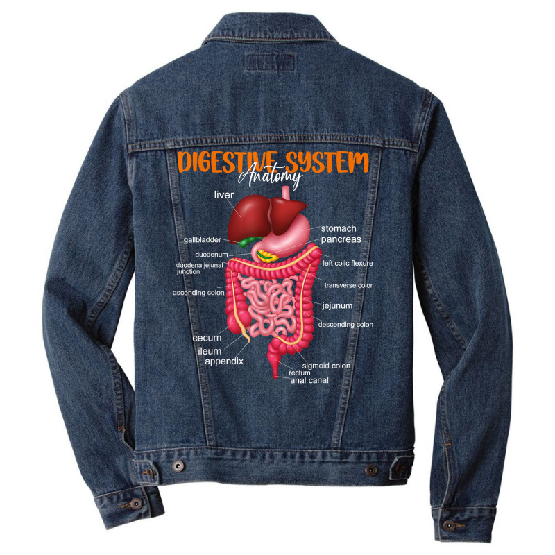 Funny Digestive System Anatomy Anatomical Biology Teacher T Shirt Men Denim Jacket by povyvexumi3 | Artistshot