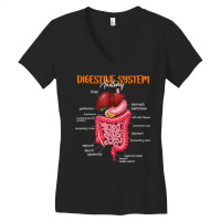 Funny Digestive System Anatomy Anatomical Biology Teacher T Shirt Women's V-neck T-shirt | Artistshot