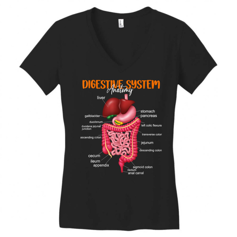 Funny Digestive System Anatomy Anatomical Biology Teacher T Shirt Women's V-Neck T-Shirt by povyvexumi3 | Artistshot