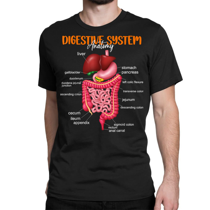 Funny Digestive System Anatomy Anatomical Biology Teacher T Shirt Classic T-shirt by povyvexumi3 | Artistshot