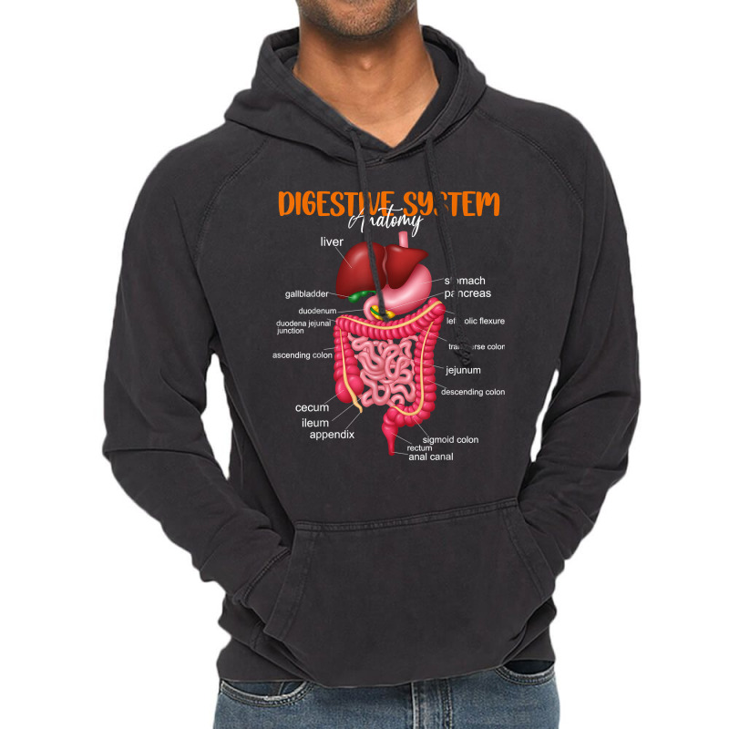 Funny Digestive System Anatomy Anatomical Biology Teacher T Shirt Vintage Hoodie by povyvexumi3 | Artistshot