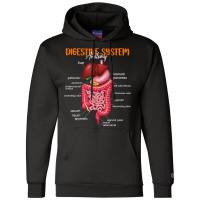 Funny Digestive System Anatomy Anatomical Biology Teacher T Shirt Champion Hoodie | Artistshot