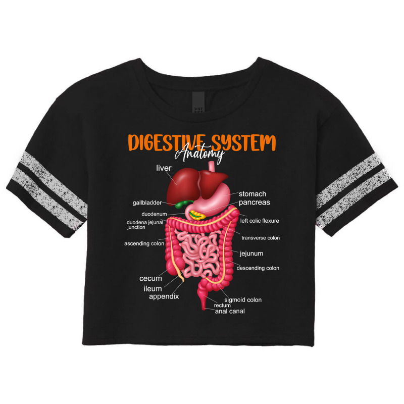 Funny Digestive System Anatomy Anatomical Biology Teacher T Shirt Scorecard Crop Tee by povyvexumi3 | Artistshot