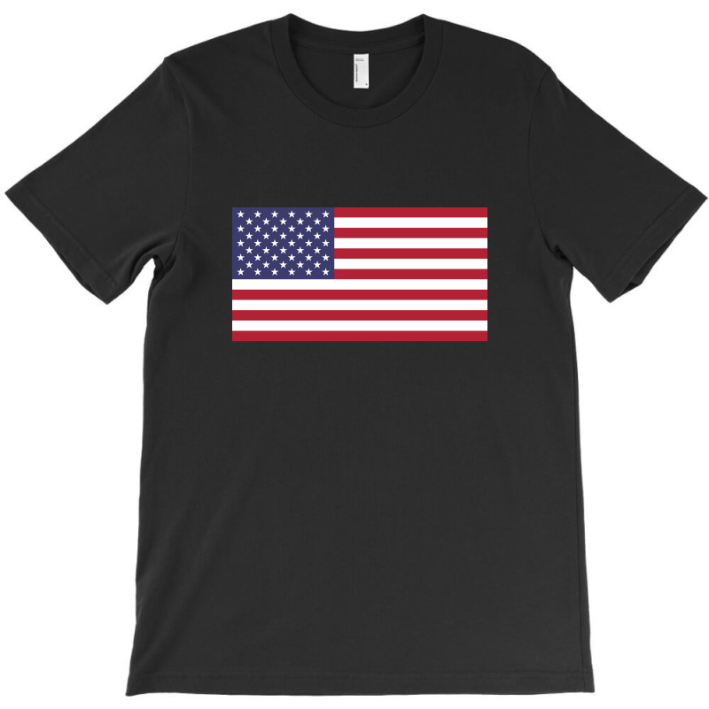 The United States T-shirt | Artistshot