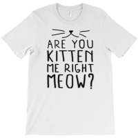 New Are You Kitten Me Right Meow T-shirt | Artistshot