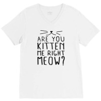 New Are You Kitten Me Right Meow V-neck Tee | Artistshot