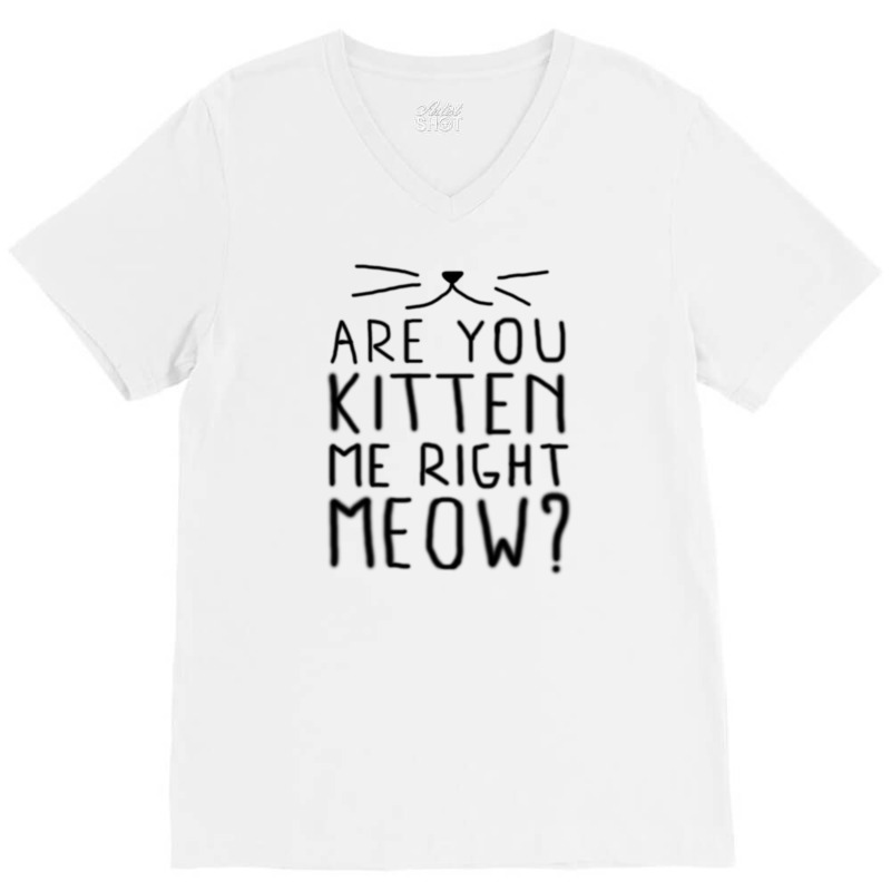 New Are You Kitten Me Right Meow V-neck Tee | Artistshot