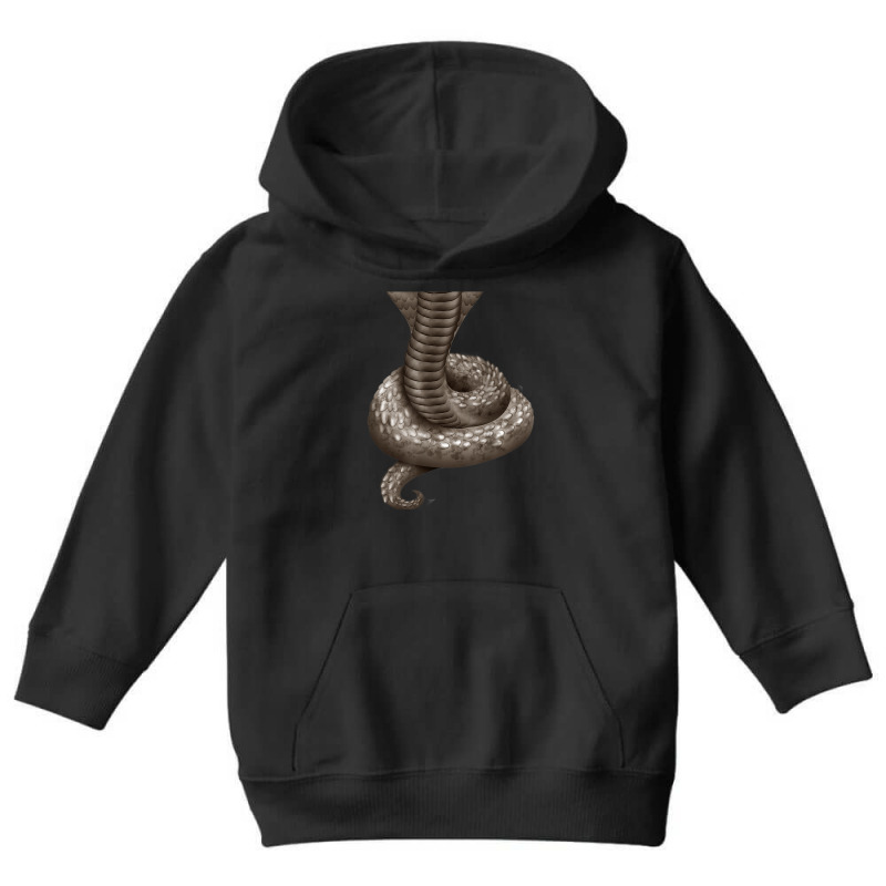 Headless Snake Halloween Costume With King Cobra Snake Body Youth Hoodie | Artistshot