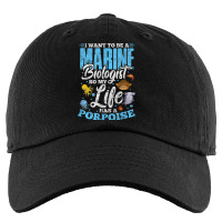 I Want To Be Marine Biologist So Life Has A Porpoise Grunge Kids Cap | Artistshot