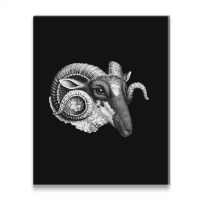 Profile Of A Ram, Profile Of A Ram Art, Profile Of A Ram Vintage, Prof Metal Print Vertical | Artistshot