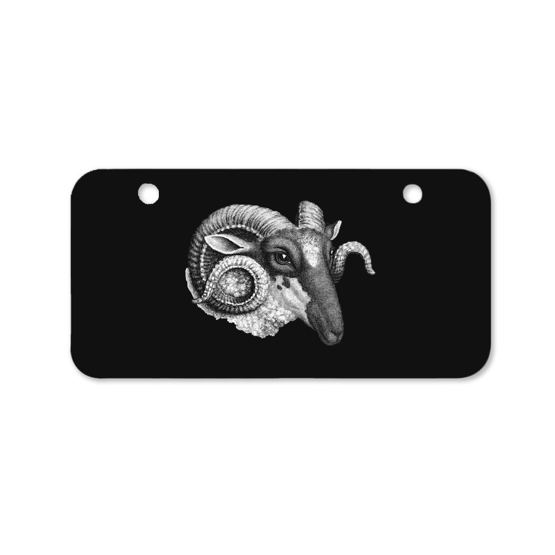 Profile Of A Ram, Profile Of A Ram Art, Profile Of A Ram Vintage, Prof Bicycle License Plate | Artistshot