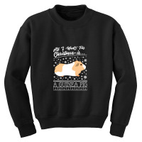 All I Want For Christmas Is A Guinea Pig Youth Sweatshirt | Artistshot