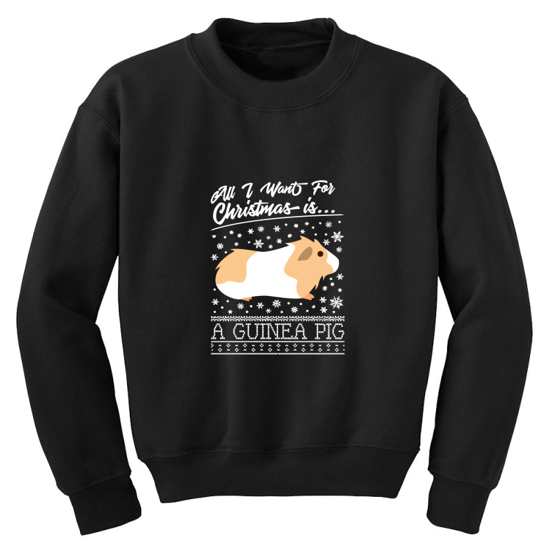 All I Want For Christmas Is A Guinea Pig Youth Sweatshirt | Artistshot