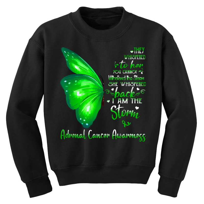 Adrenal Cancer Awareness T  Shirt She Whispered Back I Am The Storm Ad Youth Sweatshirt | Artistshot