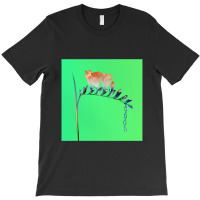 Flume Skin Companion Ep I T-shirt | Artistshot