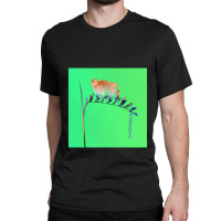 Flume Skin Companion Ep I Classic T-shirt | Artistshot