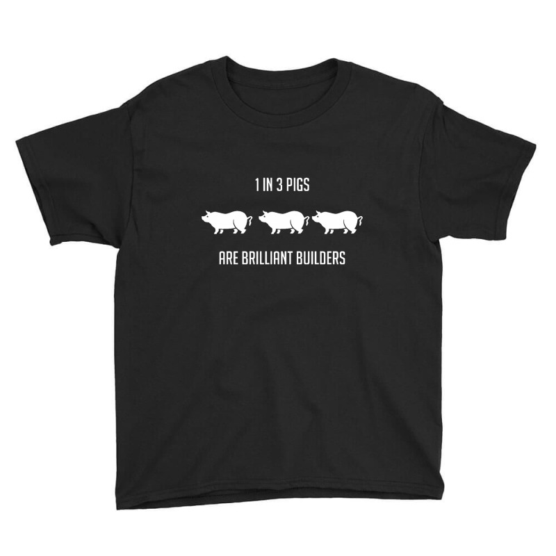 One In Three Pigs Are Brilliant Builders Youth Tee | Artistshot