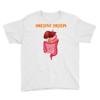 Funny Digestive System Anatomy Anatomical Biology Teacher T Shirt Youth Tee | Artistshot