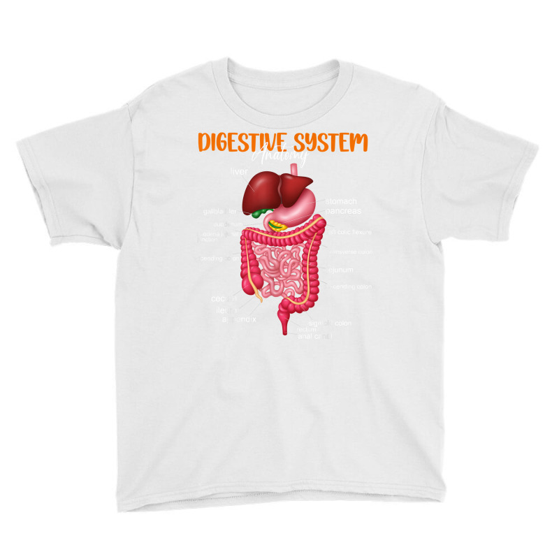 Funny Digestive System Anatomy Anatomical Biology Teacher T Shirt Youth Tee by gyzhahykaete | Artistshot