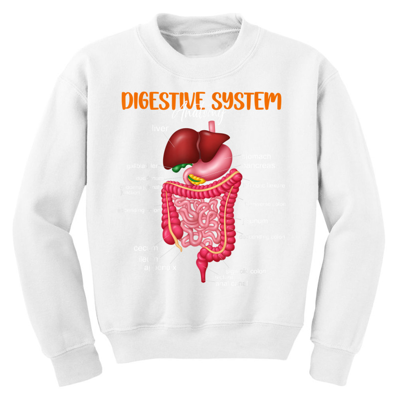 Funny Digestive System Anatomy Anatomical Biology Teacher T Shirt Youth Sweatshirt by gyzhahykaete | Artistshot