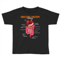 Funny Digestive System Anatomy Anatomical Biology Teacher T Shirt Toddler T-shirt | Artistshot