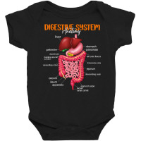 Funny Digestive System Anatomy Anatomical Biology Teacher T Shirt Baby Bodysuit | Artistshot