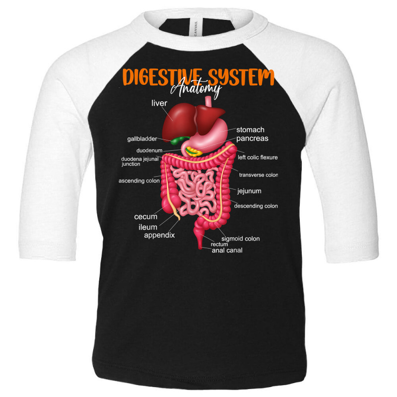 Funny Digestive System Anatomy Anatomical Biology Teacher T Shirt Toddler 3/4 Sleeve Tee by gyzhahykaete | Artistshot