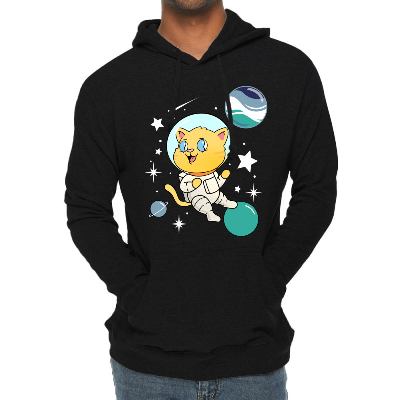 Cat In Space Oriented Aroace Pride Lightweight Hoodie | Artistshot